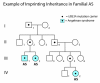 Figure 3. . The pedigree illustrates imprinting inheritance in AS.