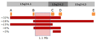 Figure 2. . A schematic representation of the structure of the 15q24 region and the most common deletions identified in the region.